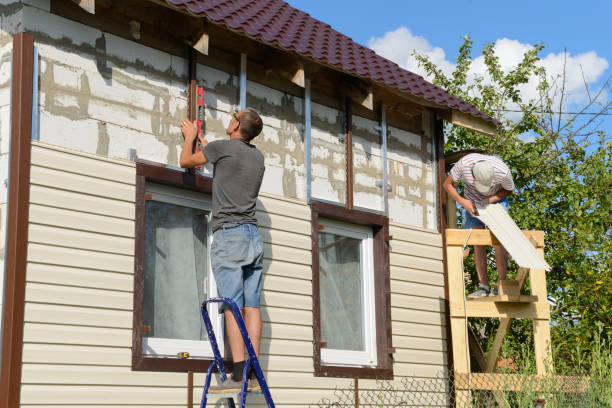 Best Fascia and Soffit Installation  in Allison, IA