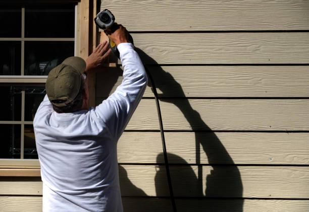Best Siding Maintenance  in Allison, IA