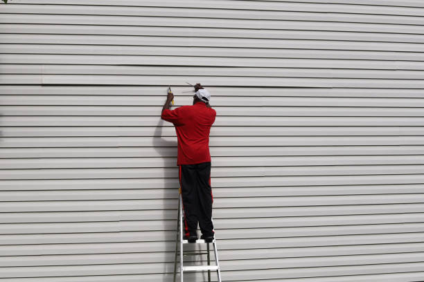 Best Custom Siding Design  in Allison, IA