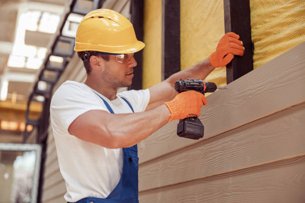 Best Historical Building Siding Restoration  in Allison, IA